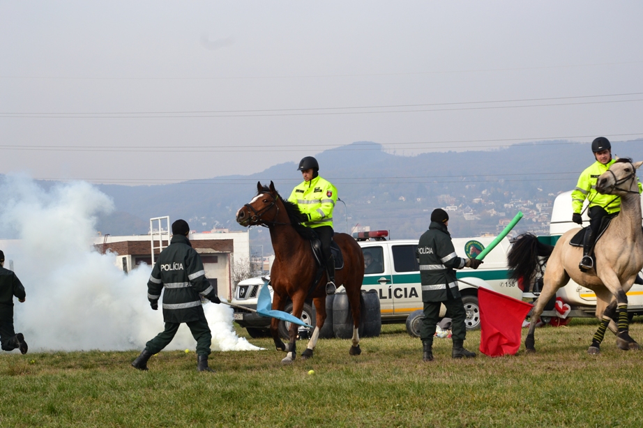 Ukážky policajného zásahu